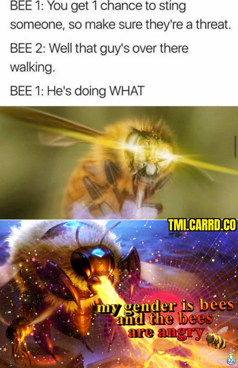 Ownmates Post
